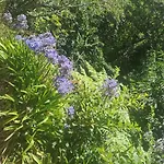 Panoramique 180m2 Vue Montagne 13 Min Capitale Funchal - Bbq Villa *