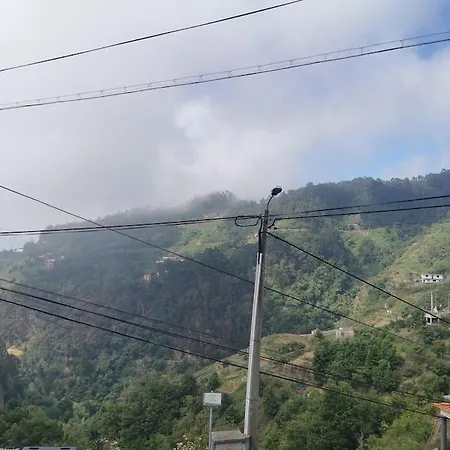 Madeira House Garden