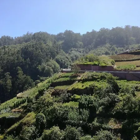 ヴィラ Madeira House Garden エストレイト・デ・カッマラ・デ・ロボス