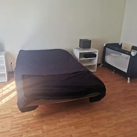 Madeira House Garden *