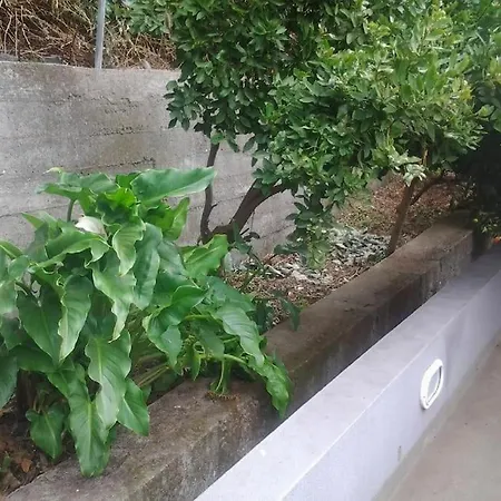 ヴィラ Madeira House Garden エストレイト・デ・カッマラ・デ・ロボス