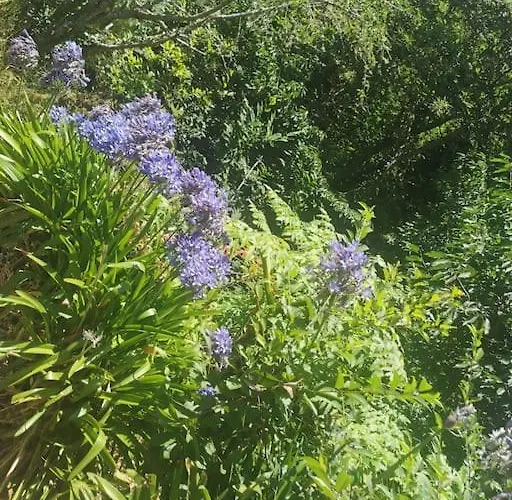 Panoramique 180m2 Vue Montagne 13 Min Capitale Funchal - Bbq וילה *