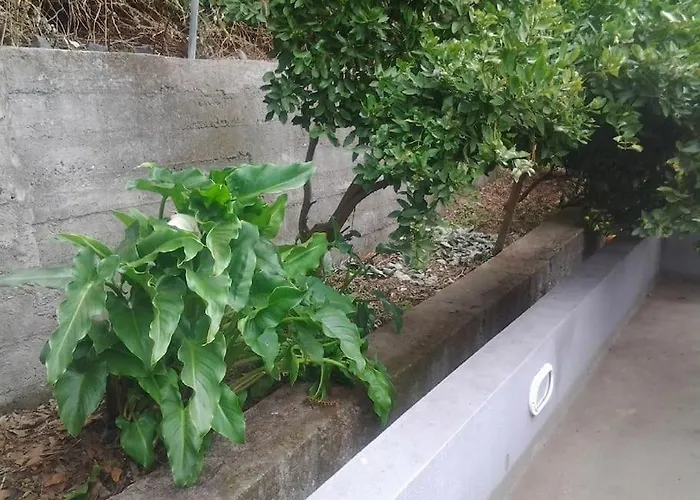 Villa Villa Panoramique 180M2 Vue Montagne 13 Min Capitale Funchal - Bbq Estreito de Câmara de Lobos